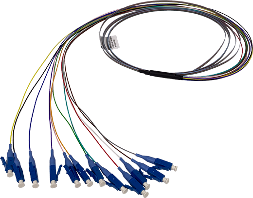 12 Fiber Ribbon Pigtail Fanout Kits | Data Center Solutions | SEL