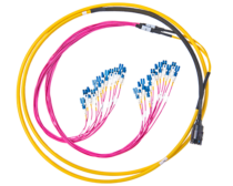 SWK™ Fiber Cable Assembly - Fanout | Sumitomo